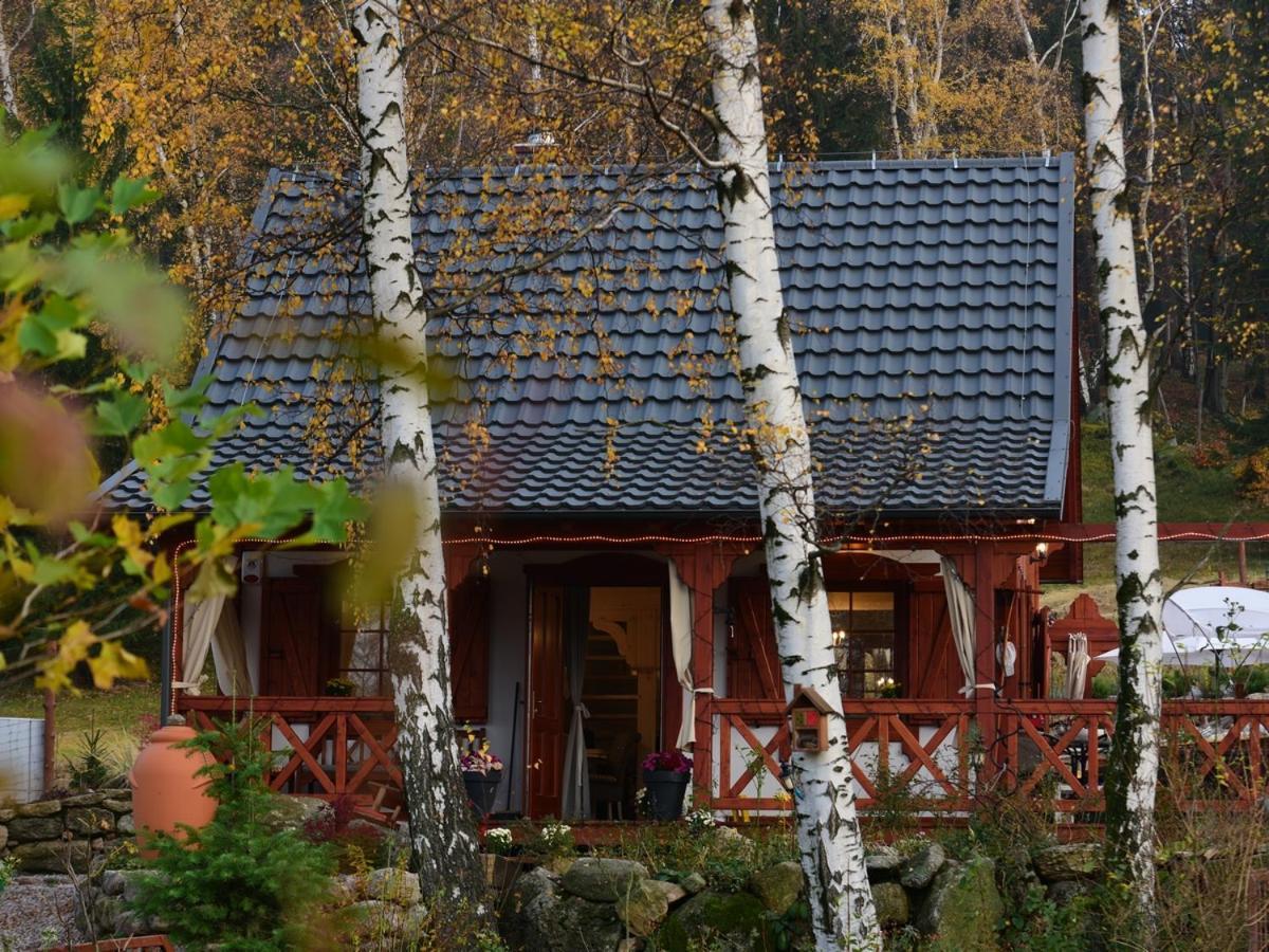 Domek W Karkonoszach Przesieka Dış mekan fotoğraf
